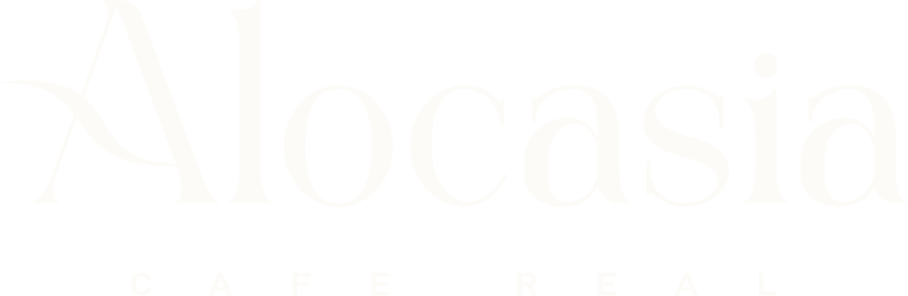 Alocasia — Café Real