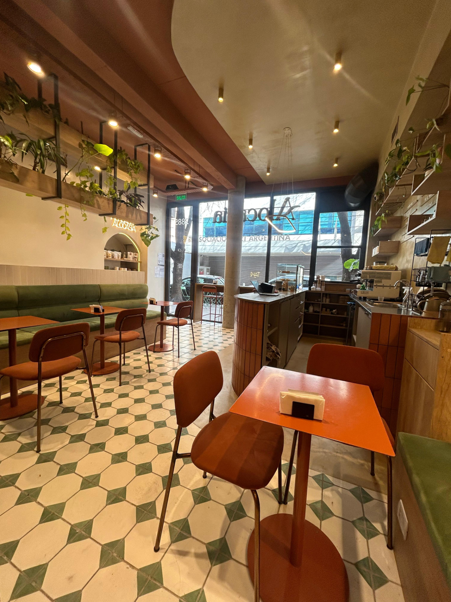 Salón de Alocasia Café con plantas, banco verde y piso de mosaicos